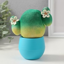 Growing gift Eco -Zhizhivchik 