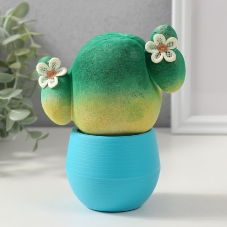 Growing gift Eco -Zhizhivchik "Cactus in a pot" Blue
