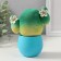 Growing gift Eco -Zhizhivchik "Cactus in a pot" Blue