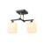 2 lamps