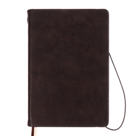 Diary Nedtir A5 160l Escalada, TV Region, Light claim, Las, tone BL 70g/m2, brown-1