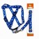 Kapon "Bones and Paws" kit, leash 120 x 1.5 cm, og 30-44 cm, blue