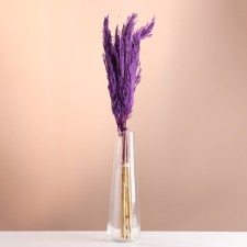 Set of dried flowers 