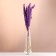 Set of dried flowers "reed", banch length 65 (+/- 6 cm), purple