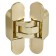 Loop of hidden installation Armadillo Universal 3D-CH 60 SG, with 3D reg., Color mat. gold