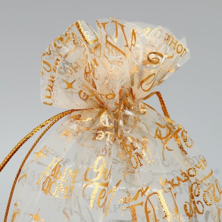 Bag gift organza "For you", 16 x 24 cm +/- 1.5 cm, New Year-2