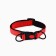 A collar with a nylon lining with a fastx 2.5 cm, a cv red
