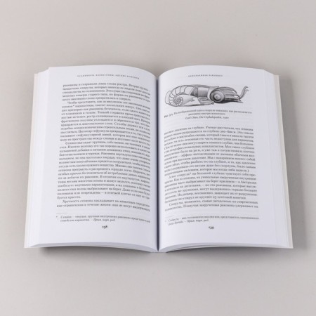 Octopuses, karakatics, hellish vampires. 500 million lei history of cephalopods. Stof A.-6