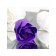 Soap roses, purple and white, set of 9 pcs.