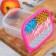 Rectangular lunch box, Tropic Style 500 ml