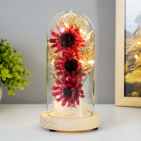 Nightlight "burgundy flowers" LED from batteries 3xlr44 10x10x20 cm Risalux-1