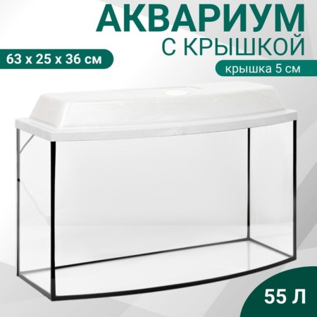 Aquarium "TV" with a lid, 55 liters, 63 x 25 x 36/41 cm, bleached oak