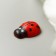 Decor for creativity tree "God's cow" set of 38 pcs 1.3x1.1 cm