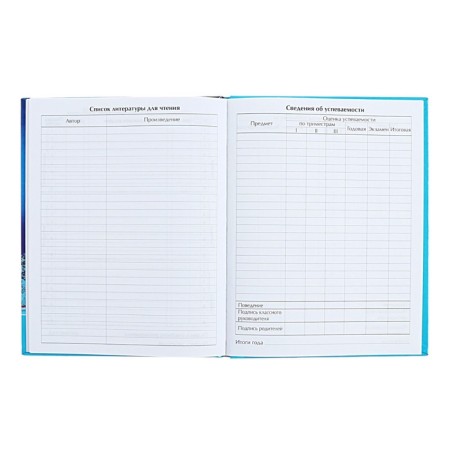 Universal diary for grades 1-11 Northern Lights, hard cover, holography, 40 sheets-7
