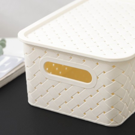 Storage basket with a birch bark lid, 3 l, 23.5 × 17.3 × 10.5 cm, ivory color-2