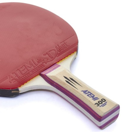 ATEMI 300 CV table tennis-2