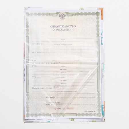 Folder for the birth certificate "Dinosaurus", A5-4