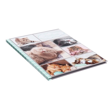 Universal diary for grades 1-11, "kittens", solid cover 7BC, glossy lamination, 40 sheets-2