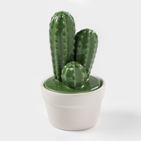 Ceramic Bank for spices "Cactus", 170 ml, 8 × 8 × 15 cm