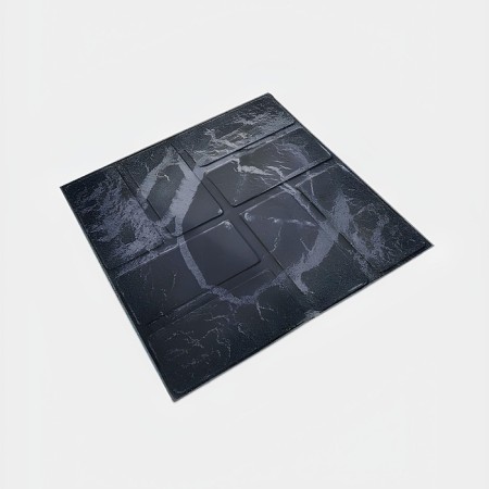 PPC tile is paving, 25 × 25 × 2 cm, graphite color, "universal"-1
