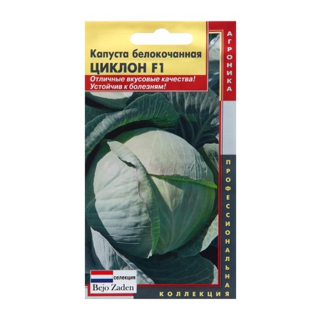 Cabbage Cabbage seeds F1 Cyclone