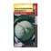 Cabbage Cabbage seeds F1 Cyclone
