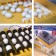 Incubator, 56 eggs, automatic coup, 220 V, ovation