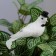 A set of birds for decor and floristry, on the clothespin, plastic, white, 2 pcs., 13 x 3 x 3 cm