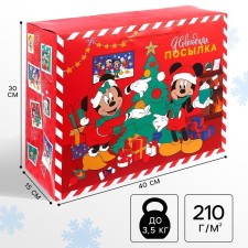 Gift package 