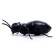 Ant radio -controlled "tree", works from batteries, light