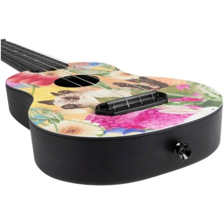 Soprano flight, Ultra S-42 Summer Cat-2