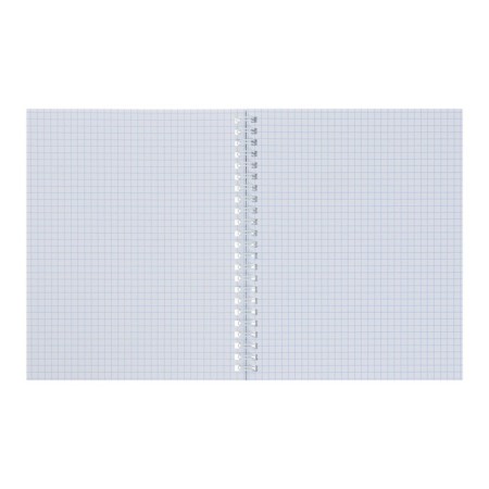 A notebook of 96 sheets in a cage on the crest "Mint. Metallic", a boumvinyl cover, an offset unit-1