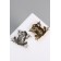 Brooch "Frog" color mix
