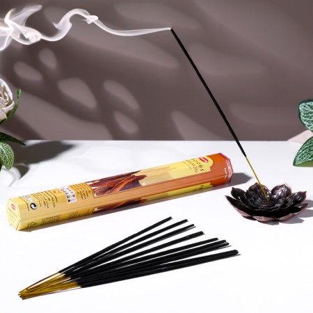Set of incense hexagon Hem Hexa Cinnamon Cinnamon (20 sticks in nab.)