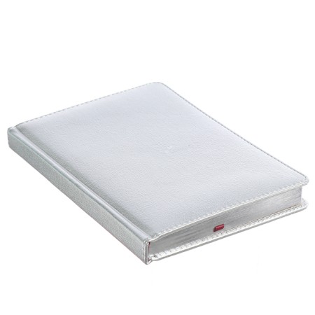 Diary of Leduced A5+, 136 sheets of Sidney Nebraska, Cover Artificial Leather, Silver Cut, Lascas, Silver-1