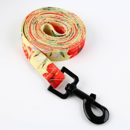 Set "Flowers", fastener - fastx, leash 2 m and collar 28-46 cm-2