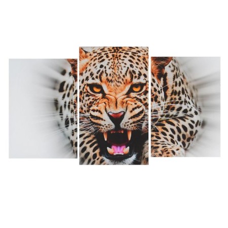 Modular picture on the subframe "Predator" (2-31x44; 1-31x51) 93x51 cm