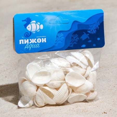 Set of shells, cardium elongatum, size 2.5 - 3.5 cm, 100 g-3