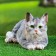 Garden figure "Cat" Gray, 25x12x9cm