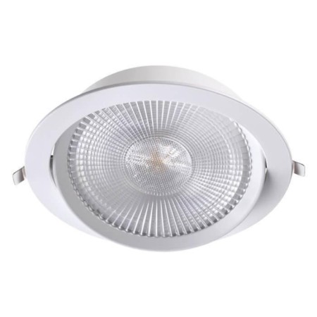 LED LED STERN, 30 W, 3000K, LED, white color, D = 195mm