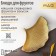 Fruit dish "shell", 23 × 15 cm, gold color