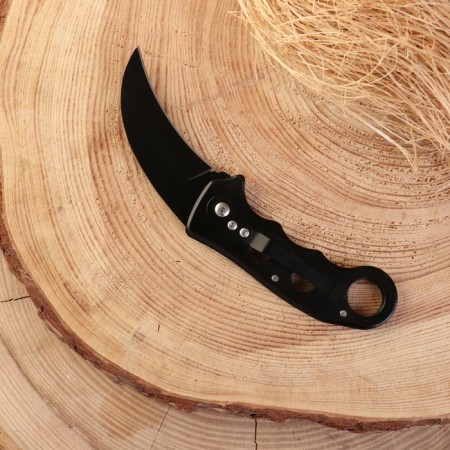 Folding Klyk knife 15cm, blade 76mm/2mm, hilt metal with a ring-3