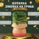 New Year's piggy bank "Snake on the mushroom" 18 x12 x 12 cm.