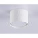 Ambrella Techno Spot GX Standard Tech TN5358, GX53, White Color Lumina