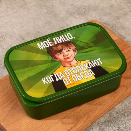 Rectangular lunch box “Do not distract from lunch”, 1200 ml