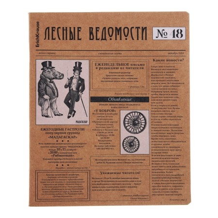 Notebook of 48 sheets in the Erichkrause "News", Craft Carton, OFSET block 100%, mix-5