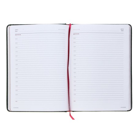 Diary of a low -up A5+, 136 sheets of Sidney Nebraska, solid cover, artificial leather, gold cut, green-3