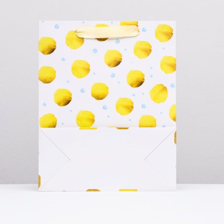 Laminated "peas" package, 26 x 32 x 12 cm-1