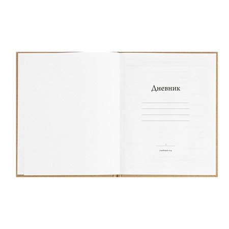 Universal Diary 5-11 classes, 48 ​​sheets "Bear", craft, solid cover, block 65 g/m2-3