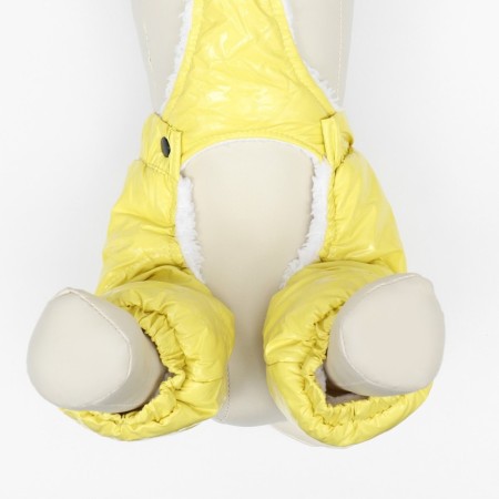Complex-strokes for dogs, size M (DS 36, from 40 cm), yellow-5